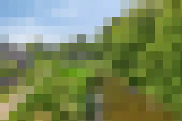 Marksingel 36 B Breda thumbnail 24