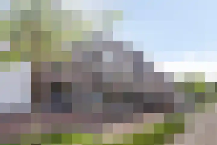 Marksingel 36 B Breda thumbnail 25