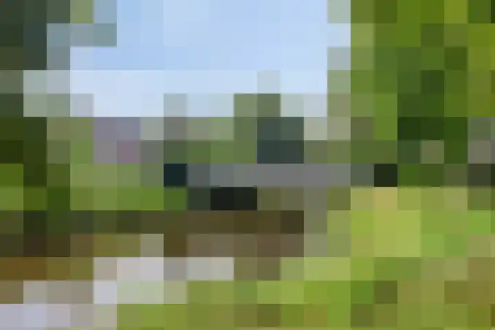 Marksingel 36 B Breda thumbnail 5