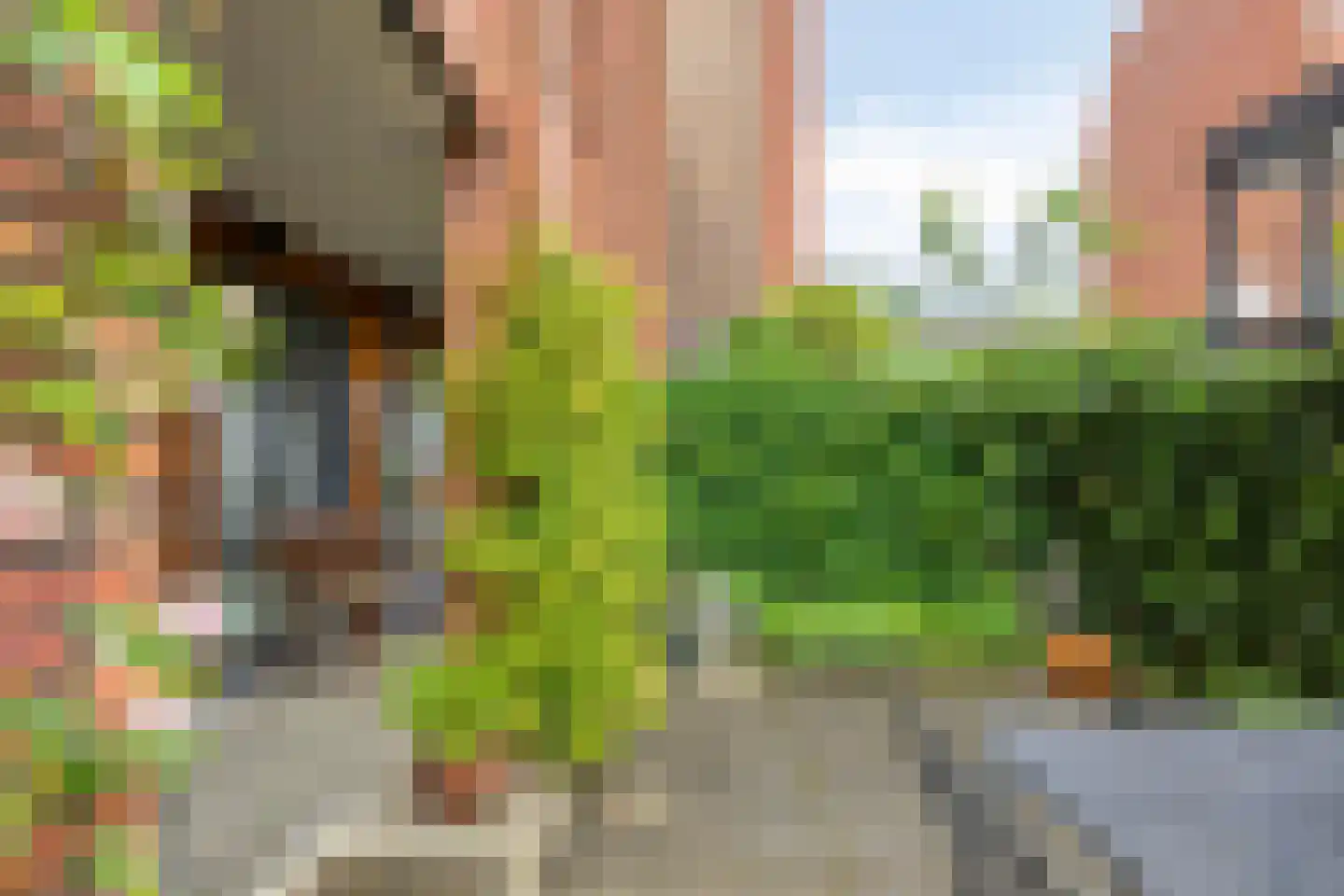 Marksingel 43 Breda thumbnail 27