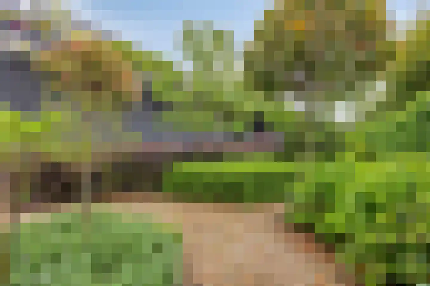 Marksingel 43 Breda thumbnail 32