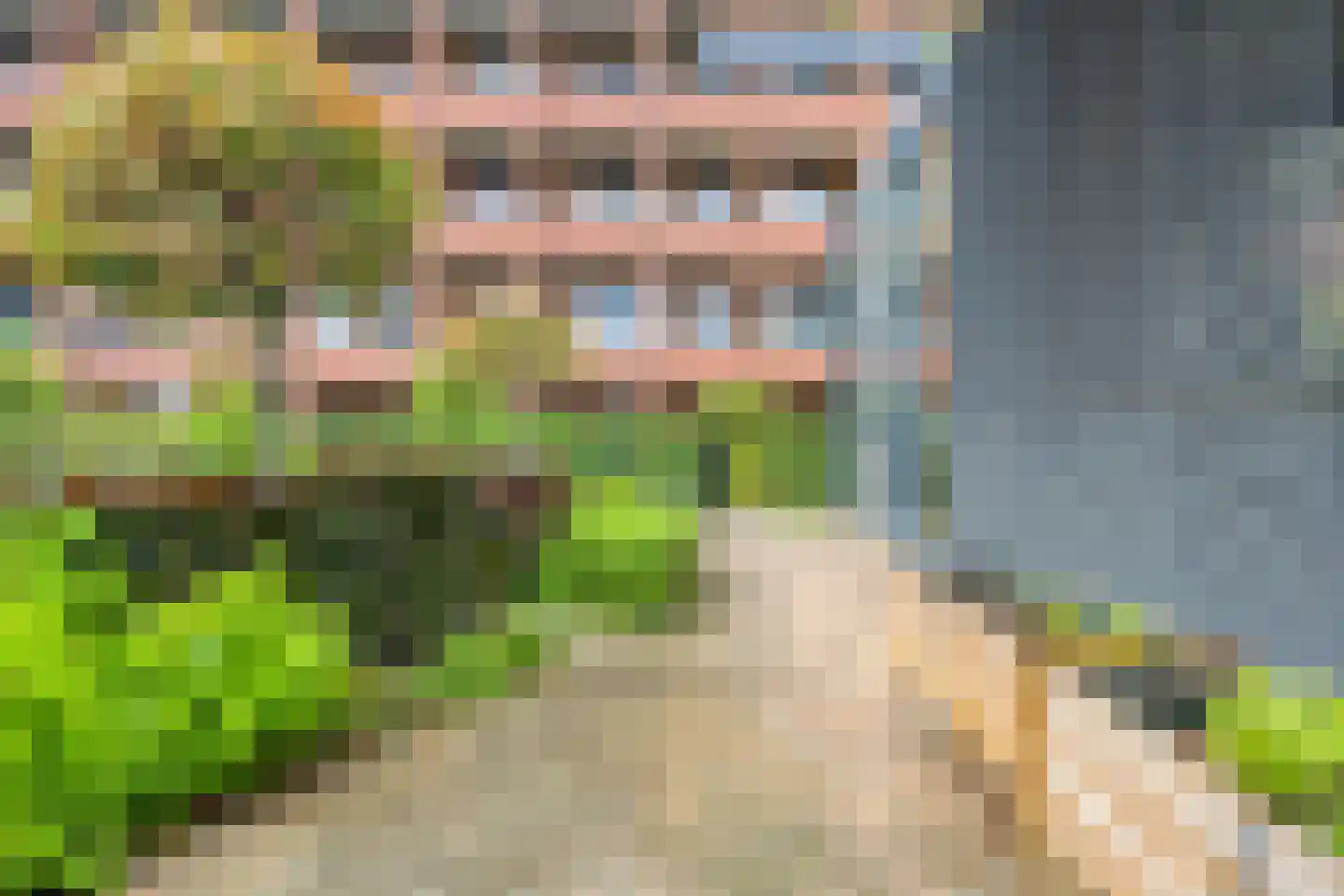 Marksingel 43 Breda thumbnail 34