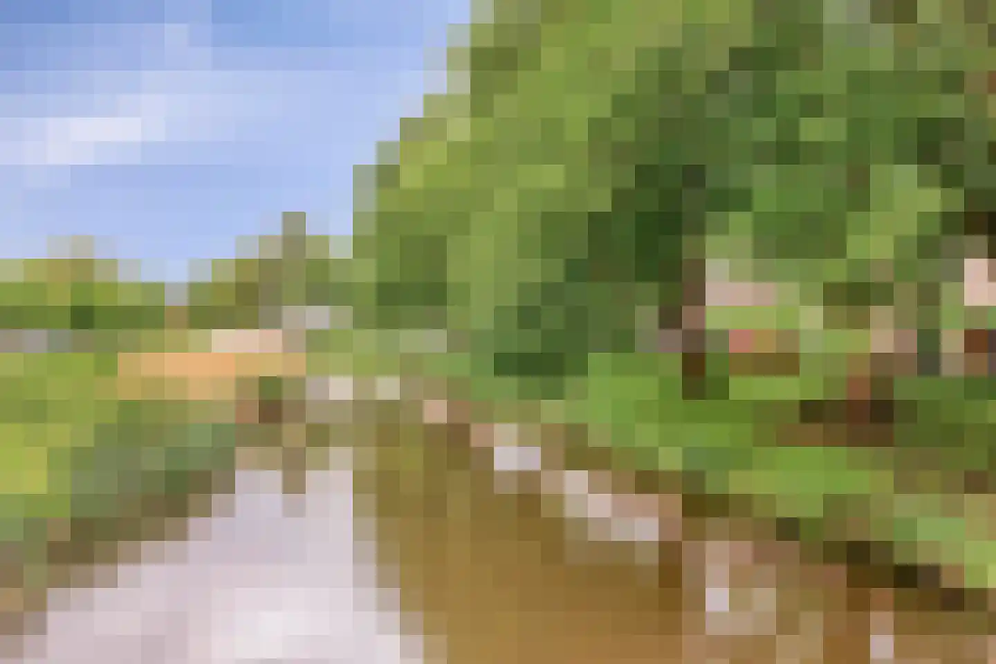 Marksingel 43 Breda thumbnail 38
