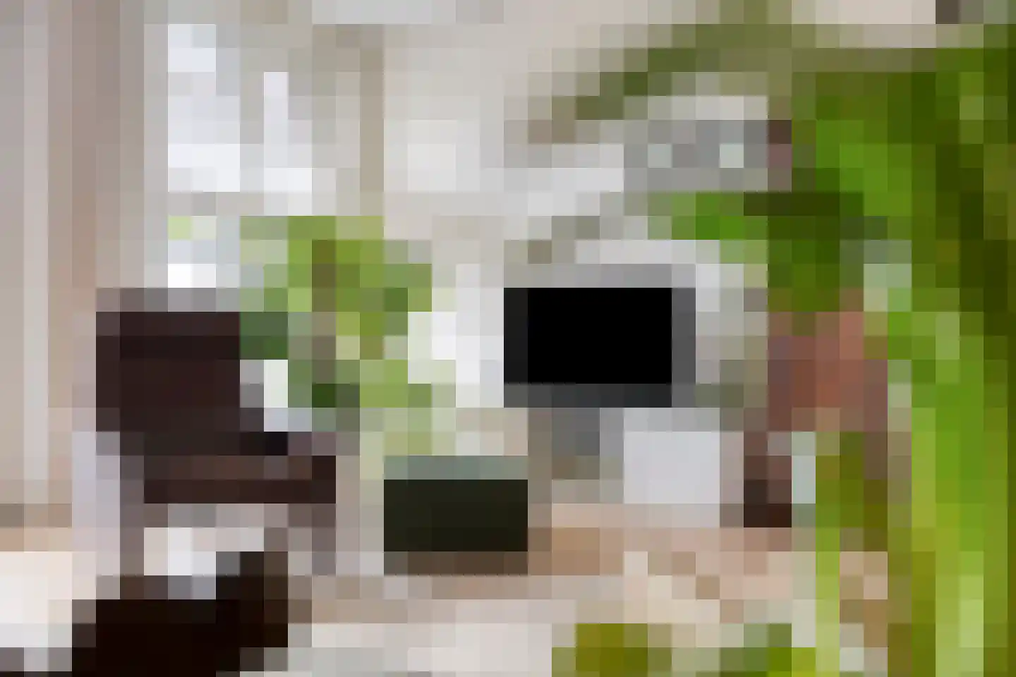 Marksingel 43 Breda thumbnail 9