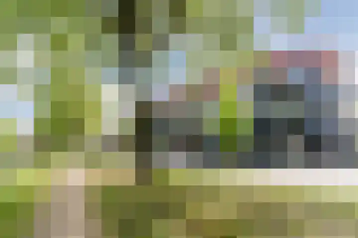 Marksingel 5 Amsterdam thumbnail 5