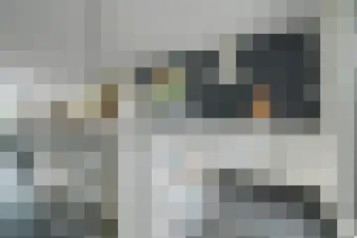 Marksingel 93 Breda thumbnail 14