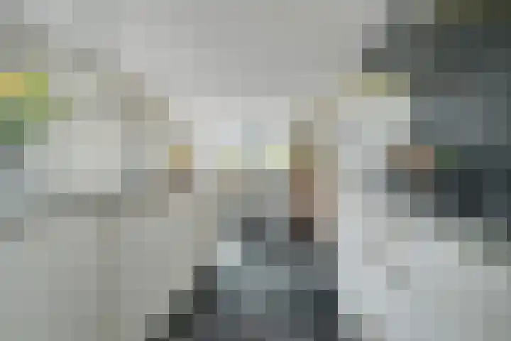 Marksingel 93 Breda thumbnail 15