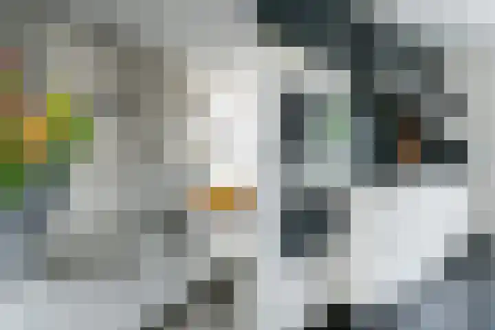 Marksingel 93 Breda thumbnail 16