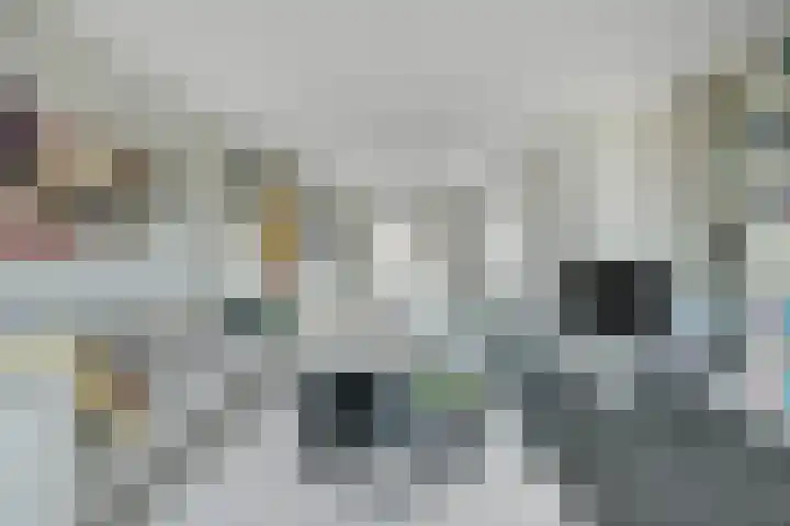 Marksingel 93 Breda thumbnail 21