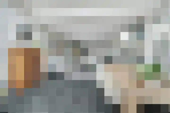 Marksingel 93 Breda thumbnail 22