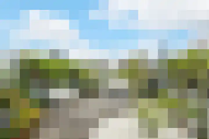 Marksingel 93 Breda thumbnail 23