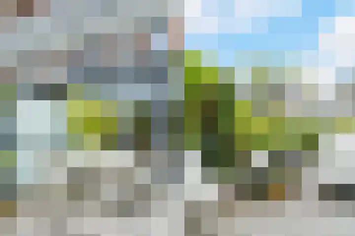 Marksingel 93 Breda thumbnail 25
