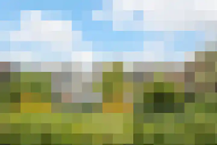 Marksingel 93 Breda thumbnail 26