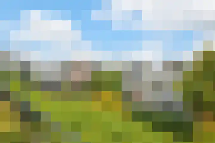 Marksingel 93 Breda thumbnail 27