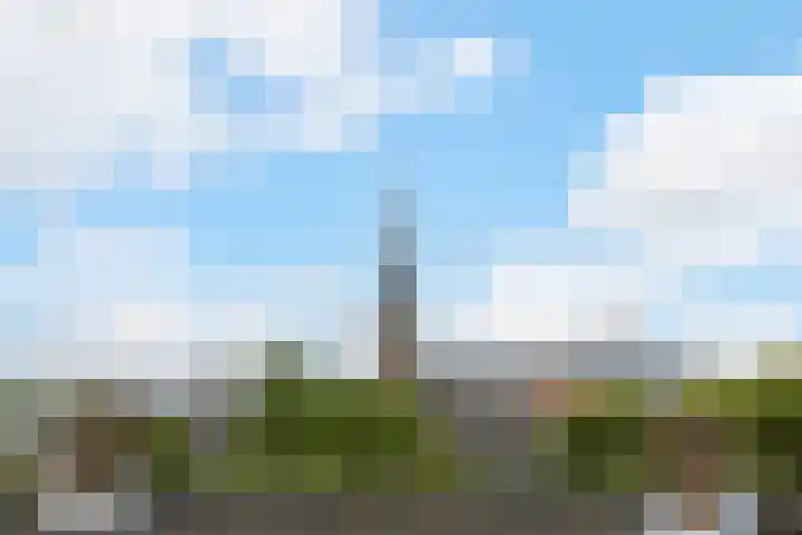 Marksingel 93 Breda thumbnail 28