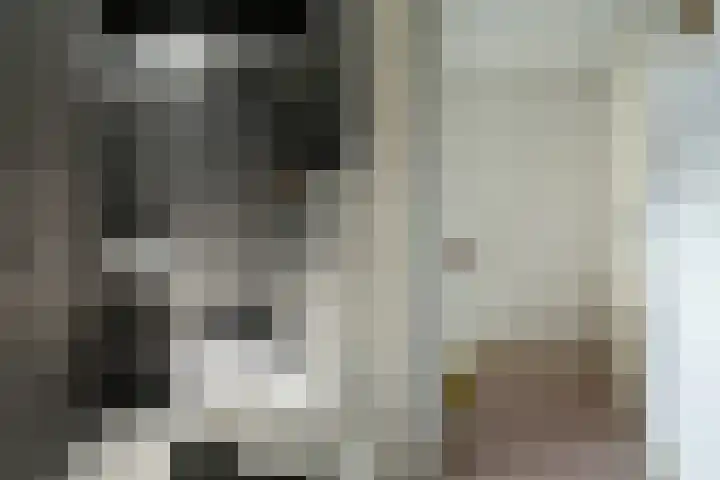 Marksingel 93 Breda thumbnail 29