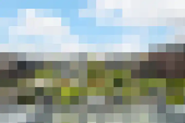 Marksingel 93 Breda thumbnail 33