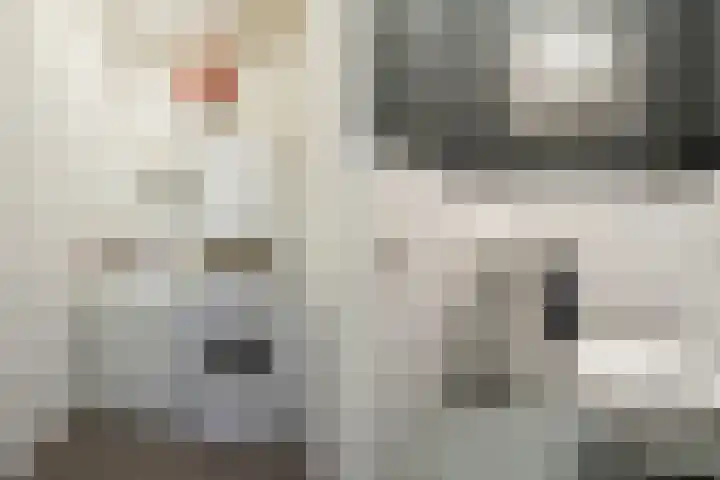 Marksingel 93 Breda thumbnail 38