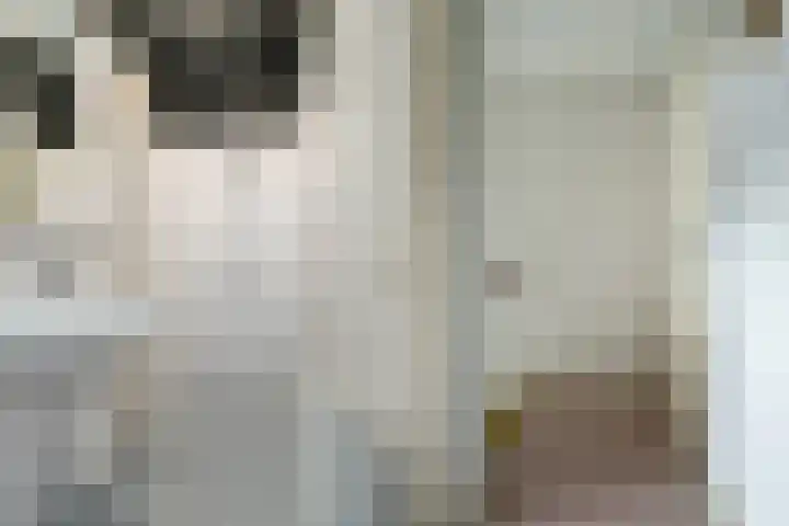 Marksingel 93 Breda thumbnail 44
