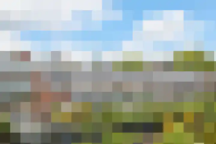 Marksingel 93 Breda thumbnail 46