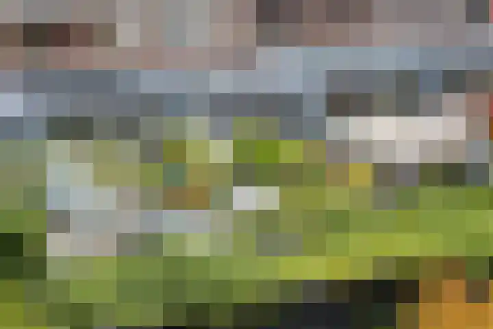Marksingel 93 Breda thumbnail 47