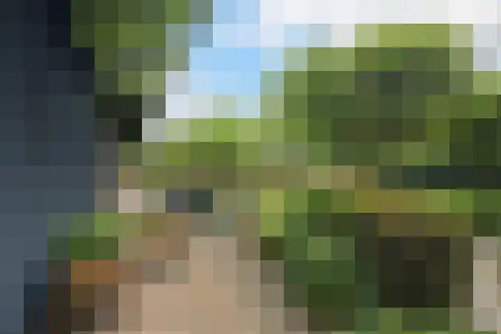 Marksingel 93 Breda thumbnail 48