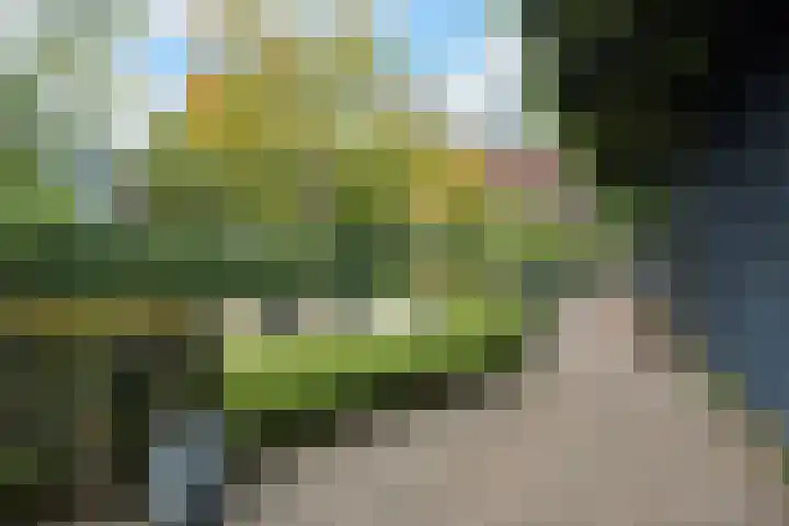 Marksingel 93 Breda thumbnail 49