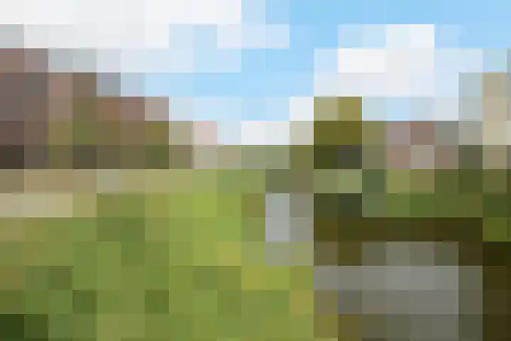 Marksingel 93 Breda thumbnail 53