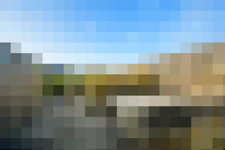 Marksingel 96 Breda thumbnail 17