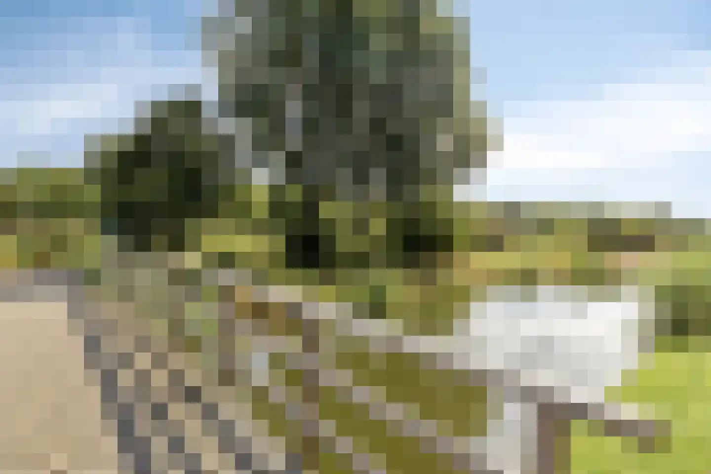 Markstraat 22 Ridderkerk thumbnail 32