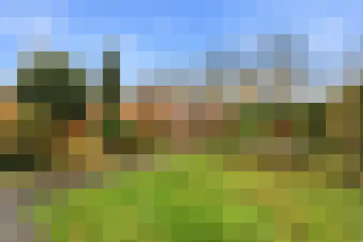 Markstraat 25 Ridderkerk thumbnail 32