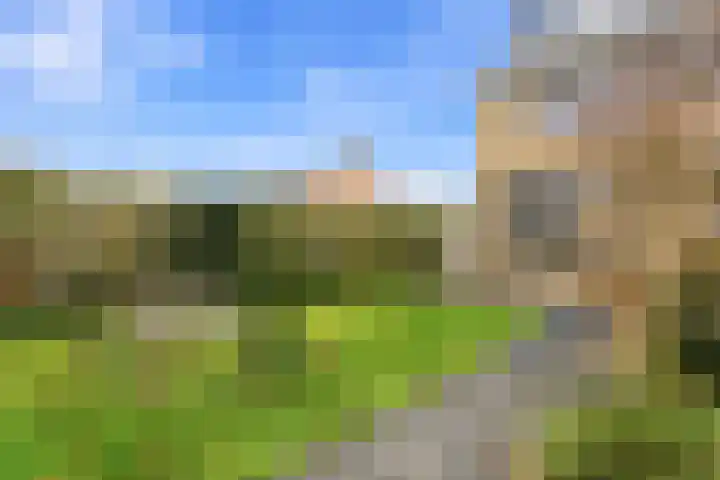 Markstraat 25 Ridderkerk thumbnail 34