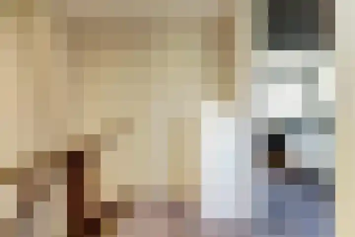 Markstraat 28 Ridderkerk thumbnail 25