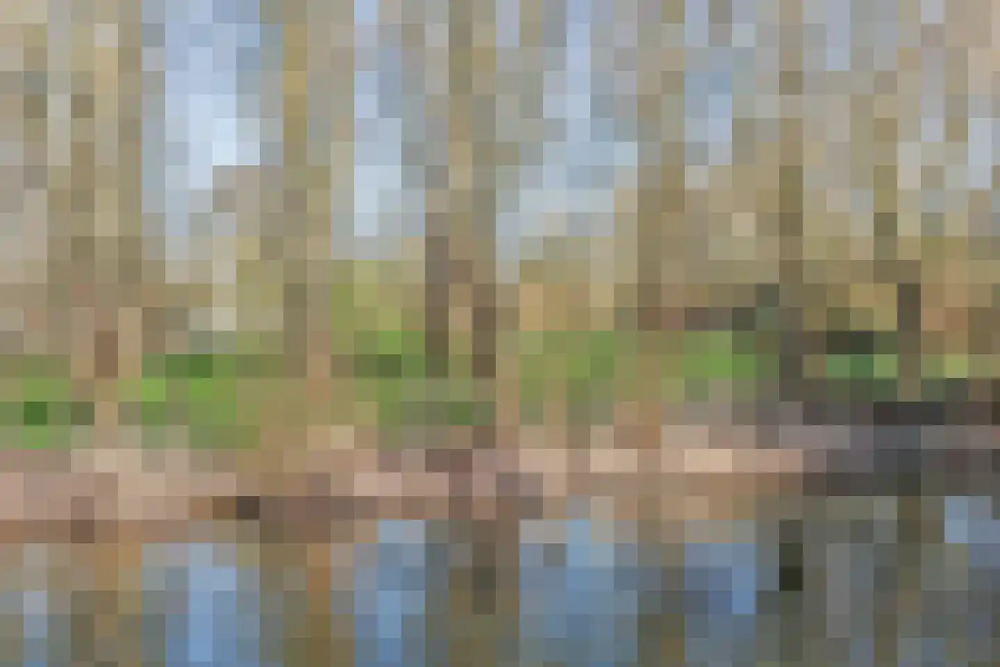 Markstraat 28 Ridderkerk thumbnail 39
