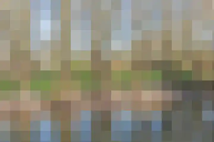 Markstraat 28 Ridderkerk thumbnail 39