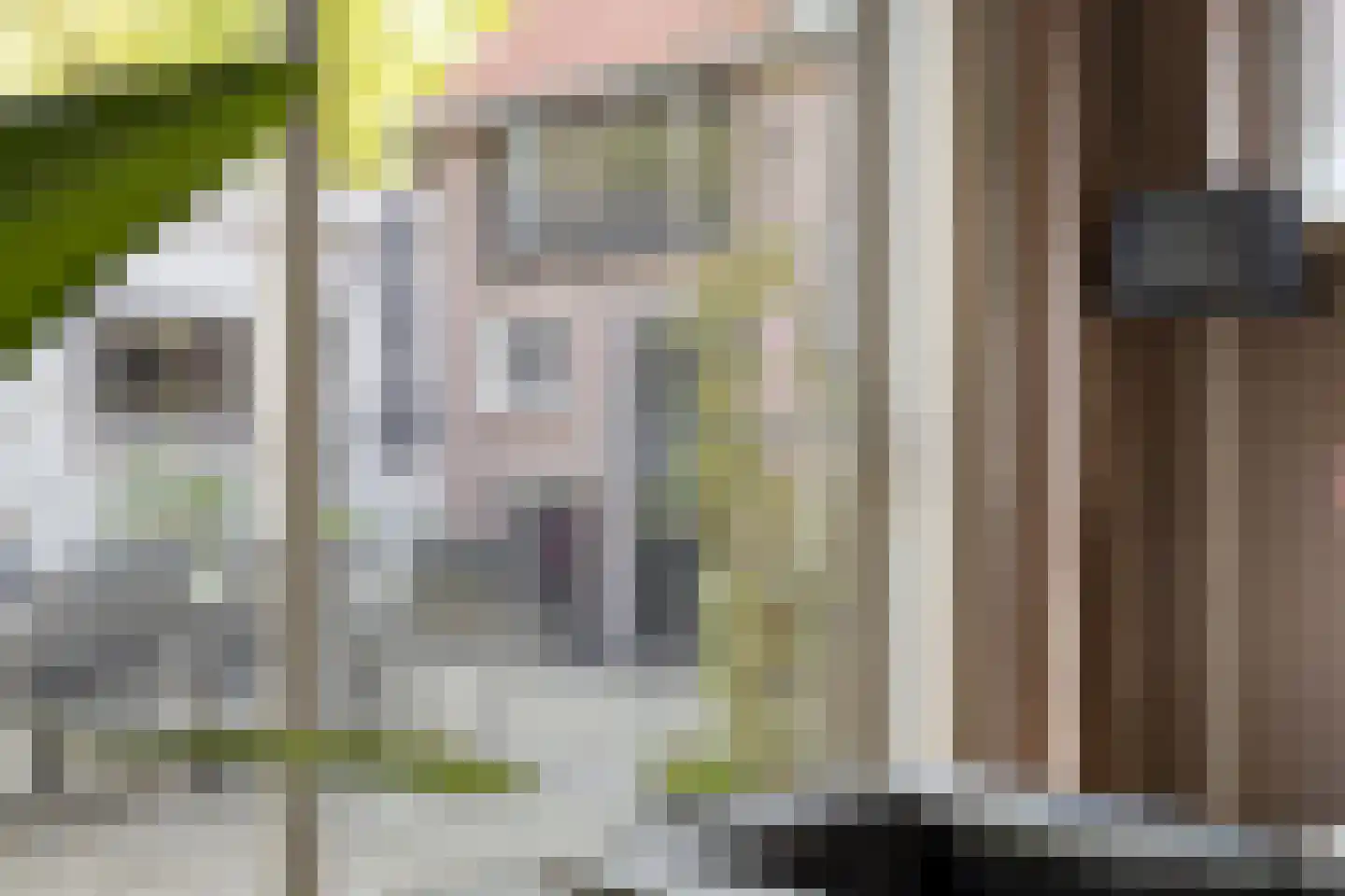 Markstraat 29 Terheijden thumbnail 17