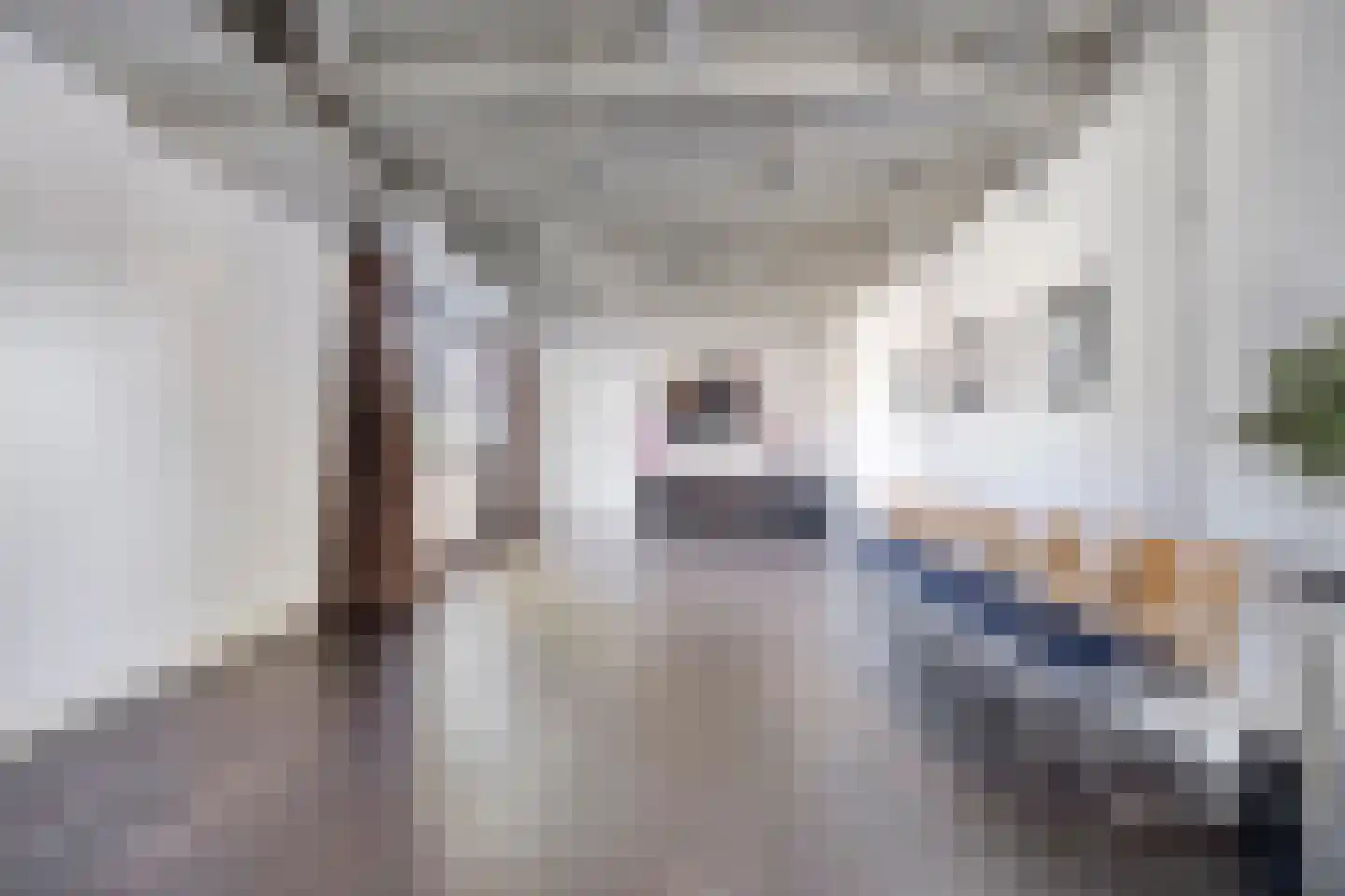 Markstraat 29 Terheijden thumbnail 21