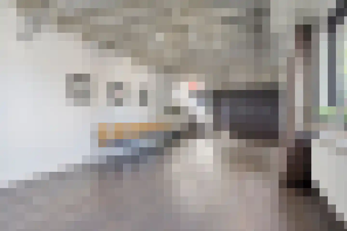 Markstraat 29 Terheijden thumbnail 22