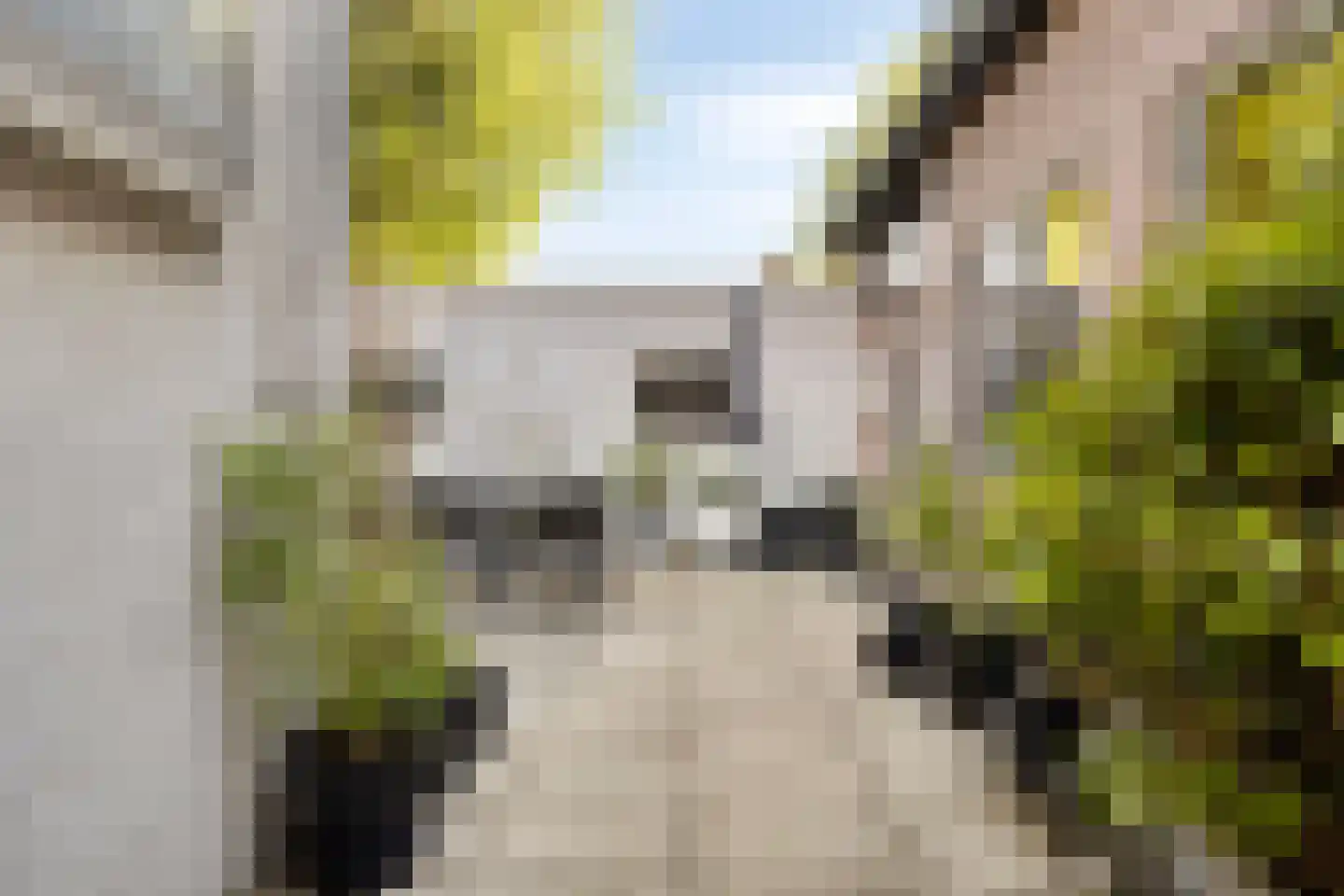 Markstraat 29 Terheijden thumbnail 47