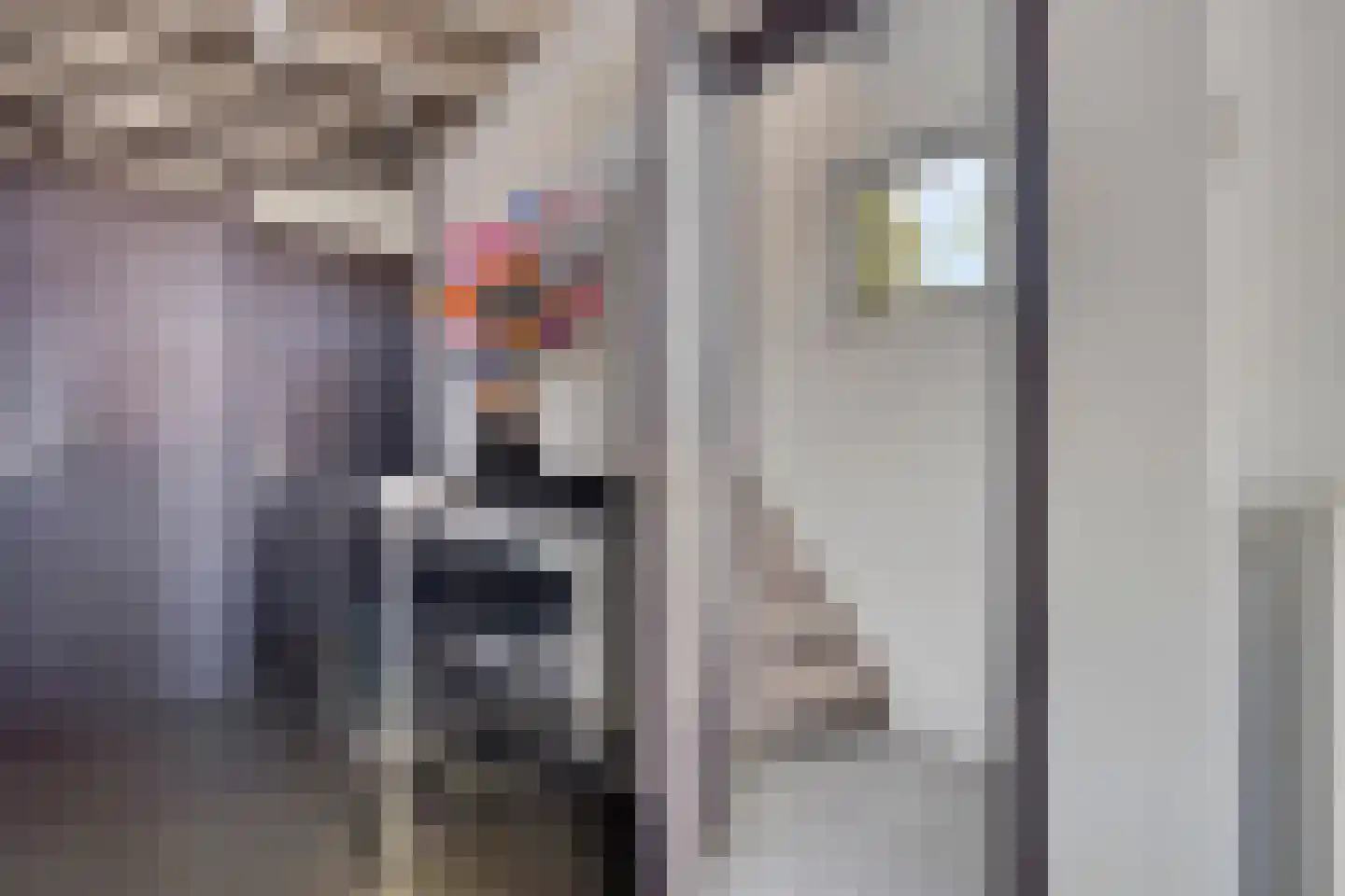 Markstraat 29 Terheijden thumbnail 5