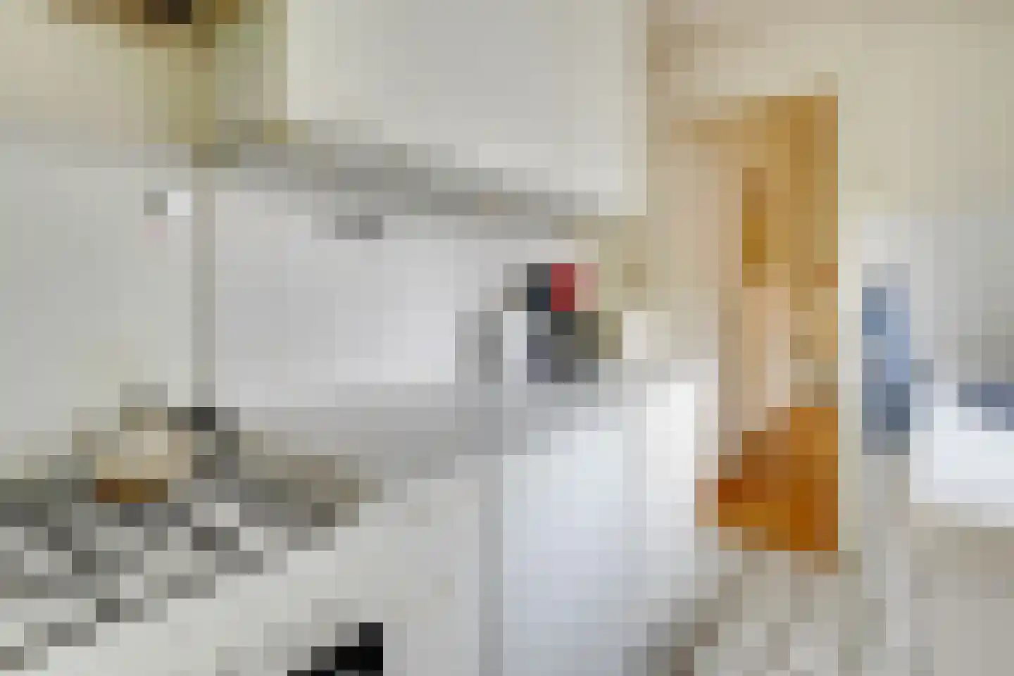 Markstraat 39 Utrecht thumbnail 18