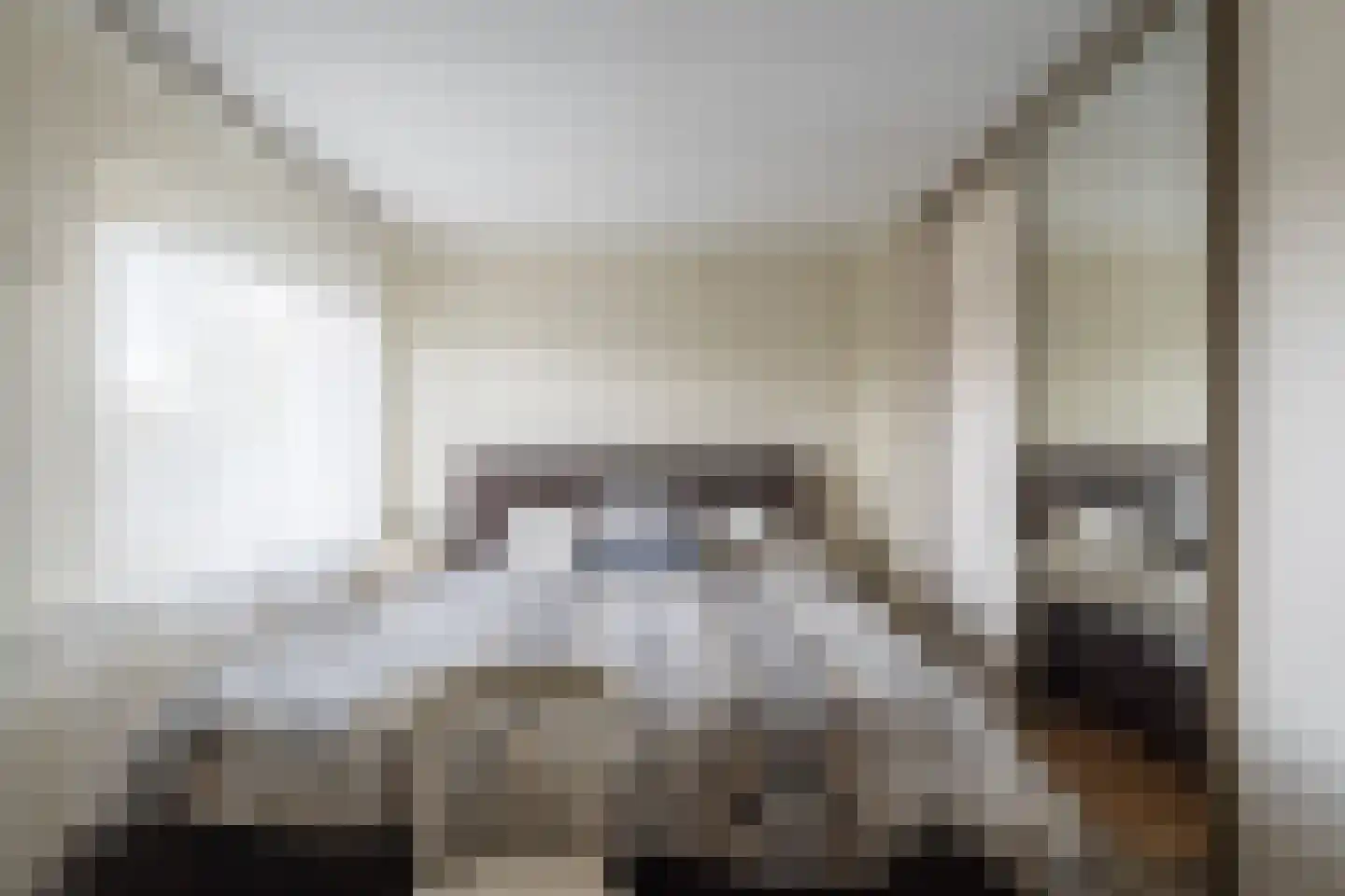 Markstraat 51 Terheijden thumbnail 15