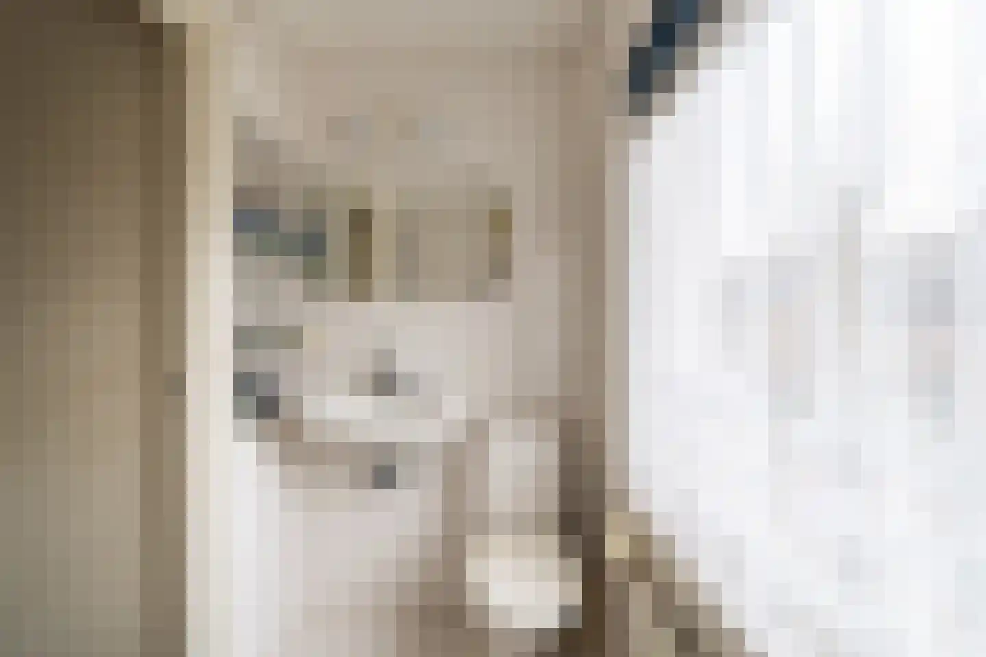 Markstraat 51 Terheijden thumbnail 18