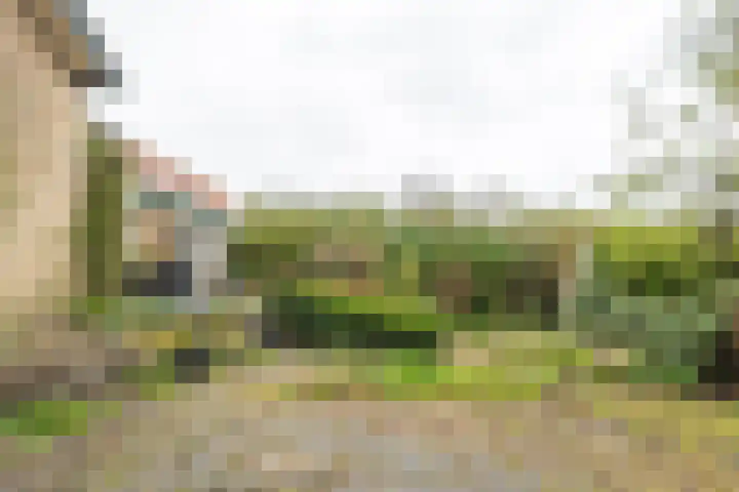 Markstraat 51 Terheijden thumbnail 24