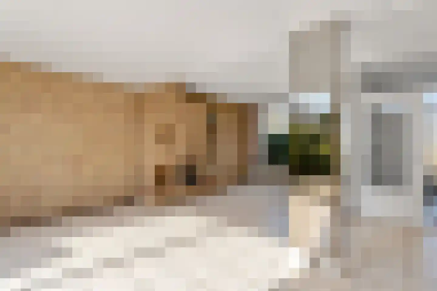 Markstraat 8 Ridderkerk thumbnail 12
