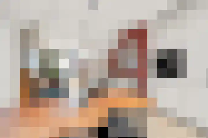 Markstraat 9 Utrecht thumbnail 17