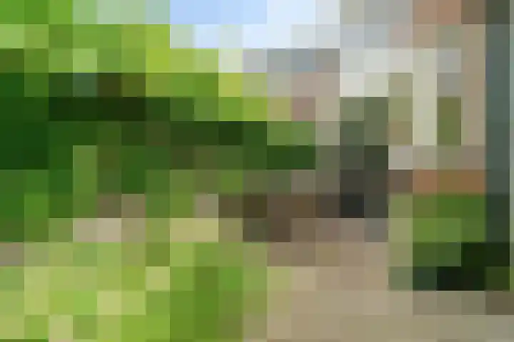 Markstraat 9 Utrecht thumbnail 35