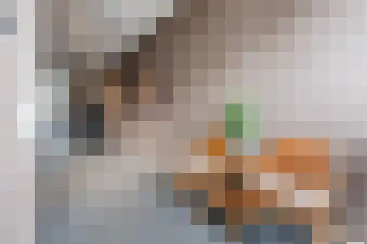 Markt 1 36 Hoogeveen thumbnail 4