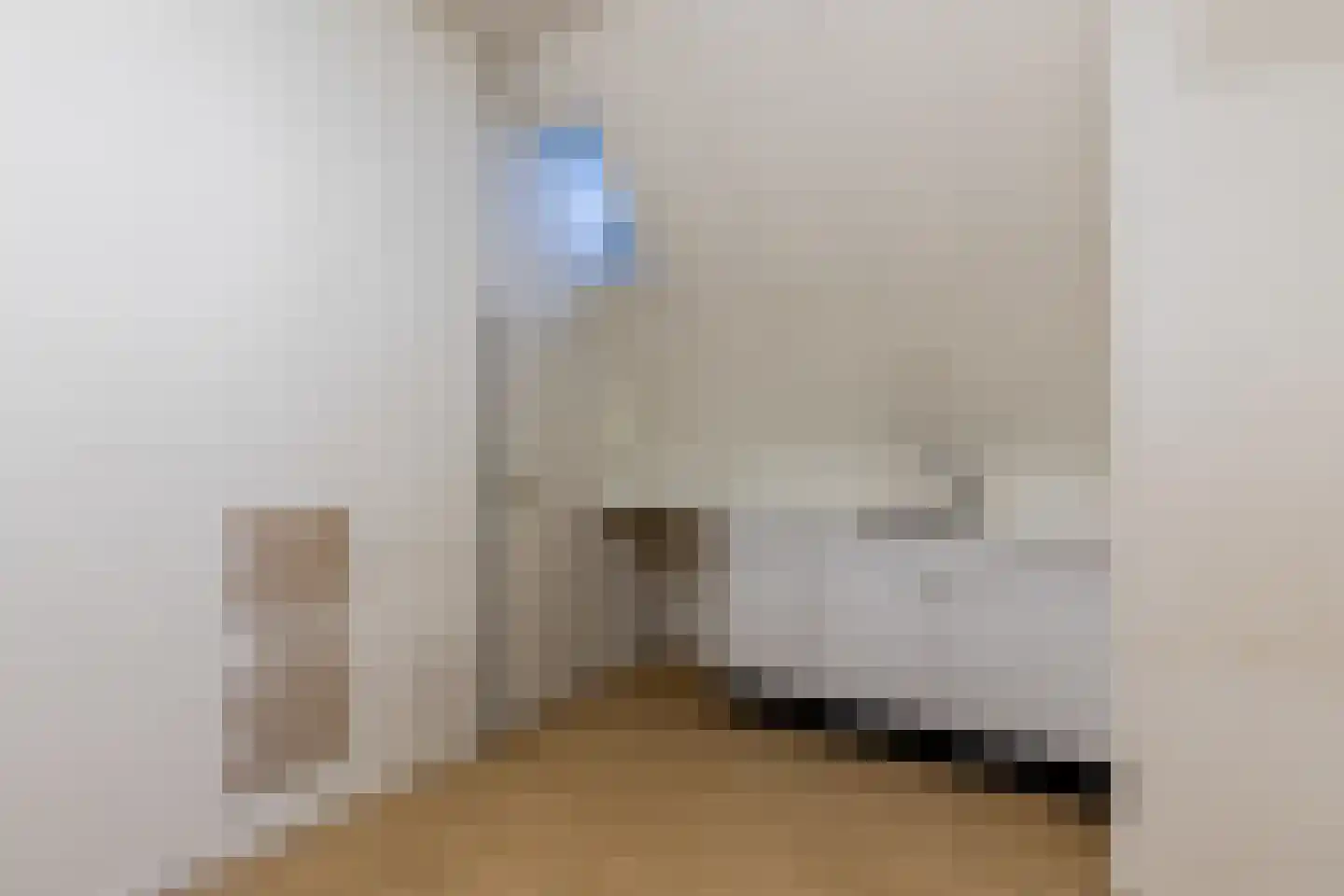 Markt 1 Vlodrop thumbnail 30