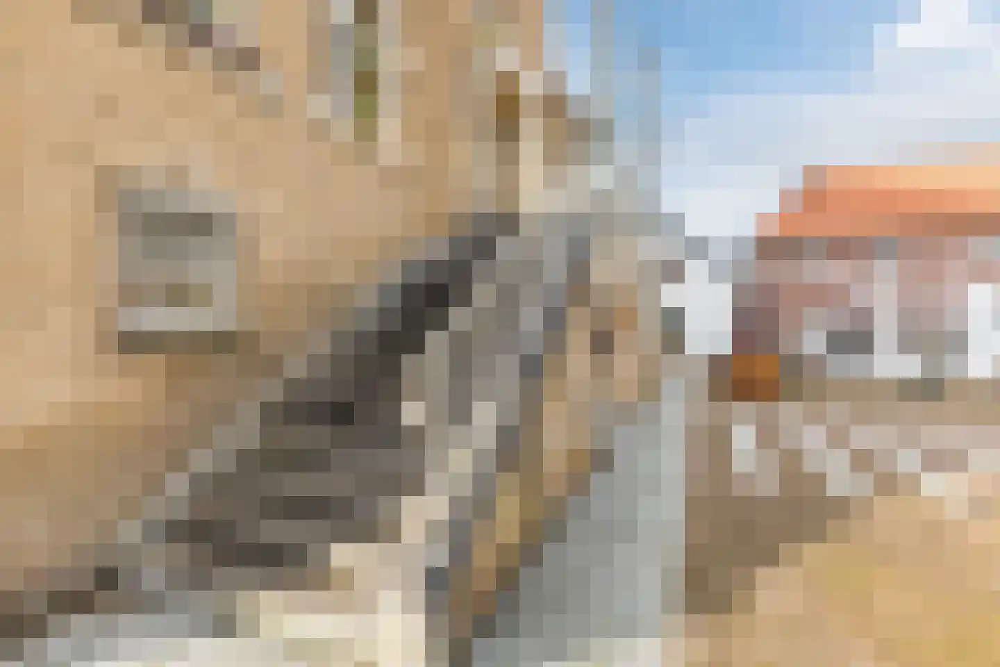 Markt 1 Vlodrop thumbnail 6